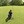 MsGolf12